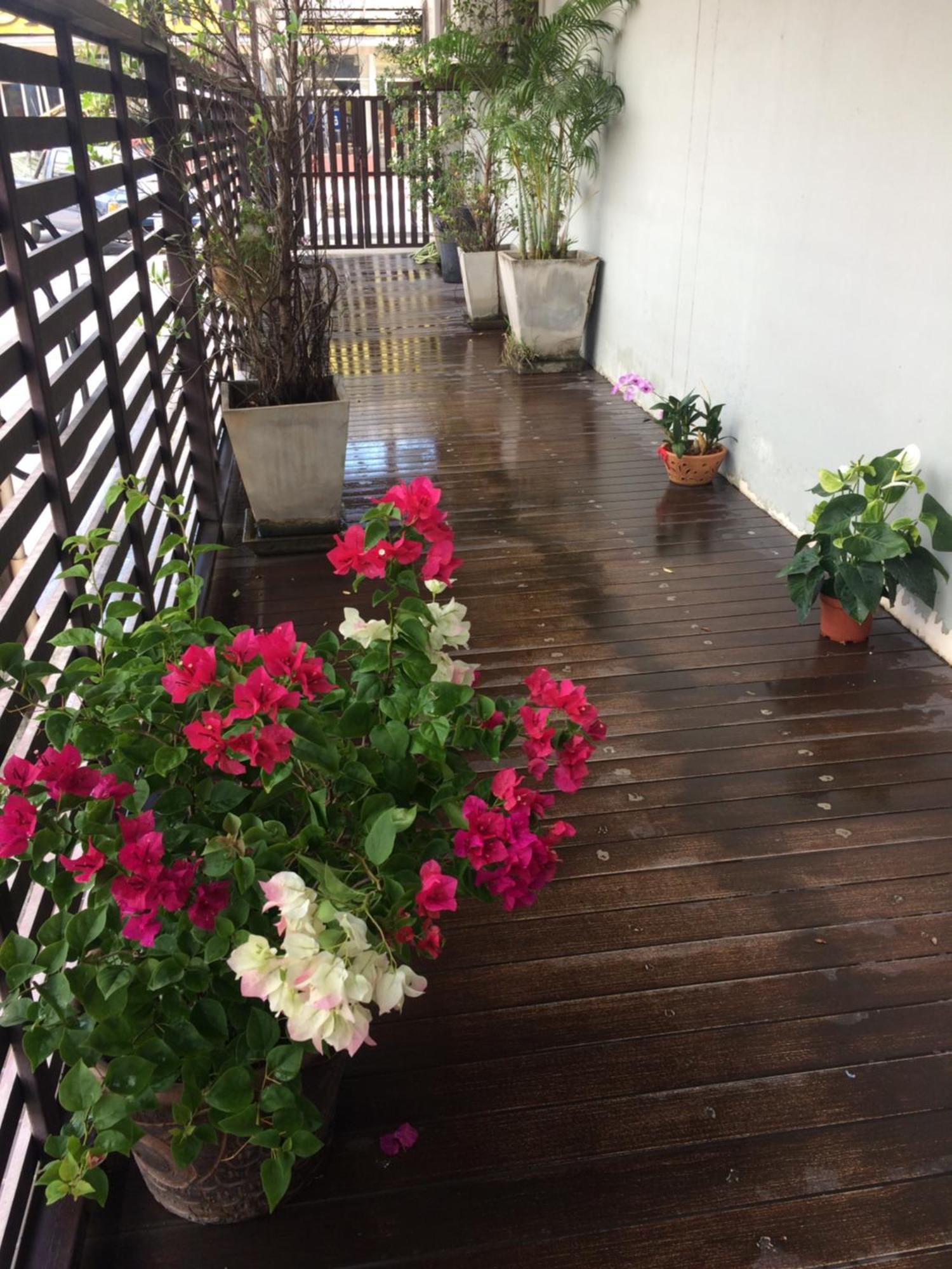 My Living Place Samui Bãi biển Bãi biển Mae Nam Ngoại thất bức ảnh